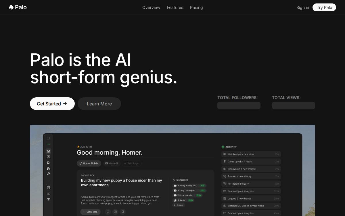 Palo website preview