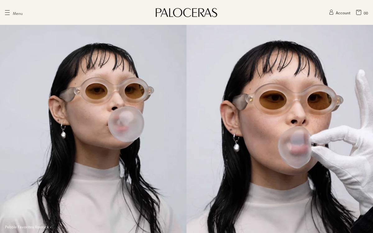 Paloceras website preview