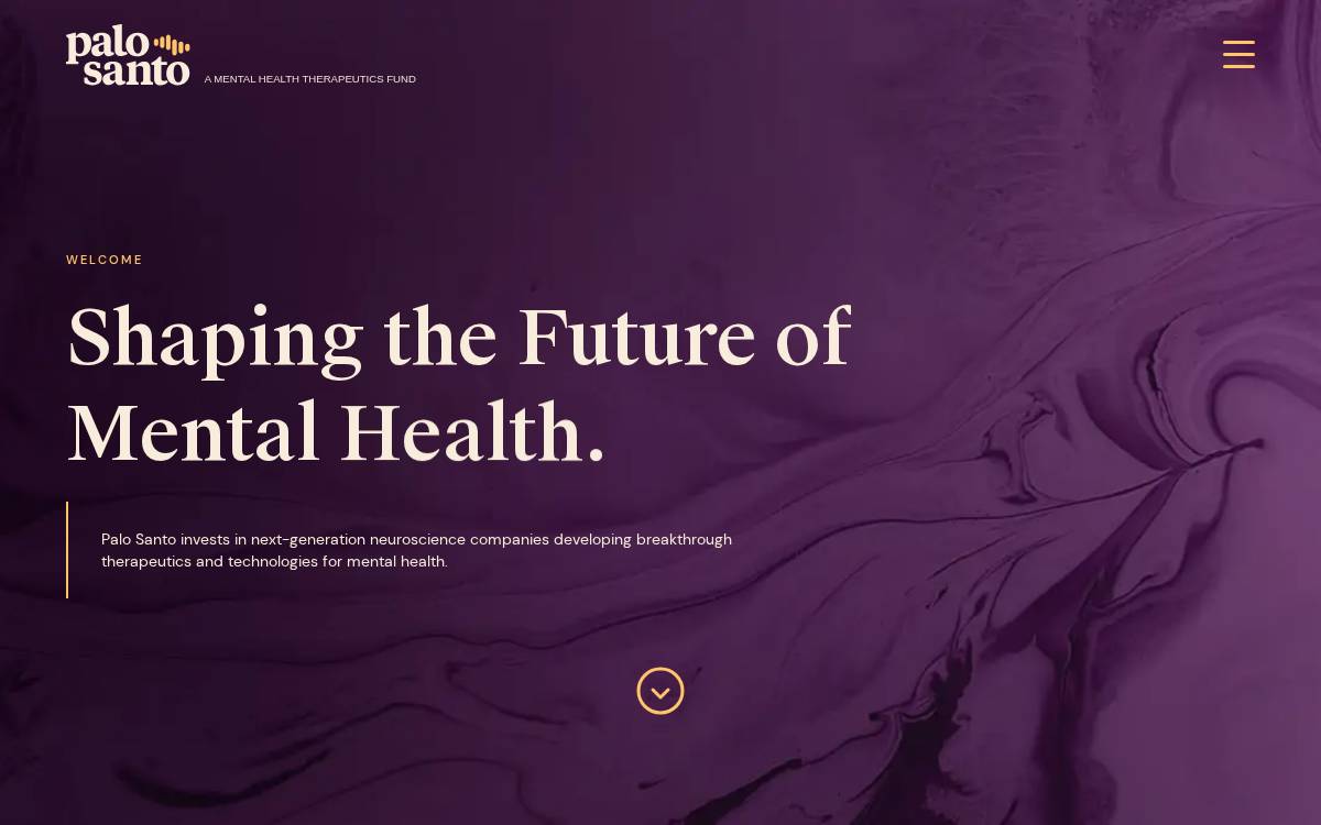 Palo Santo website preview