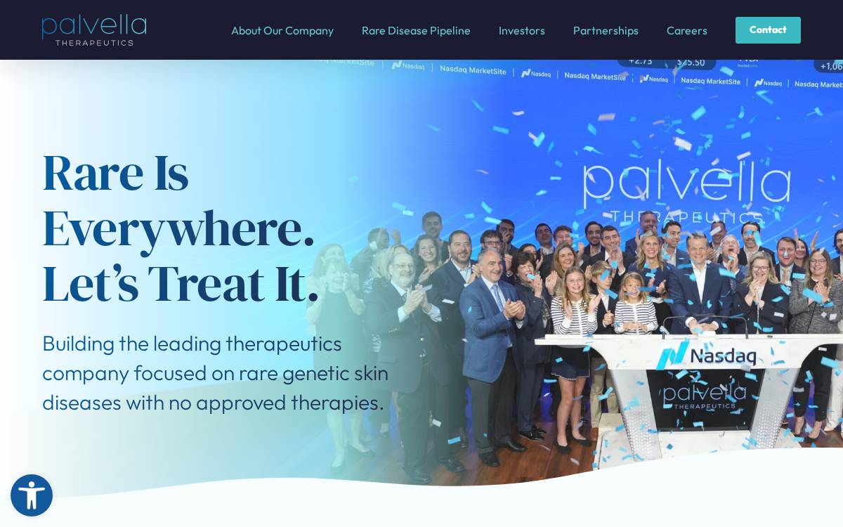 Palvellatx website preview