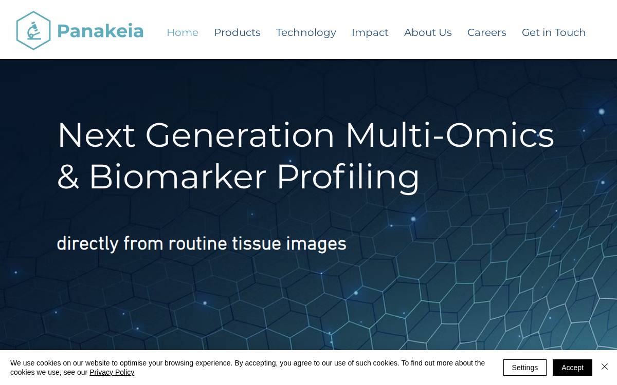 Panakeia website preview