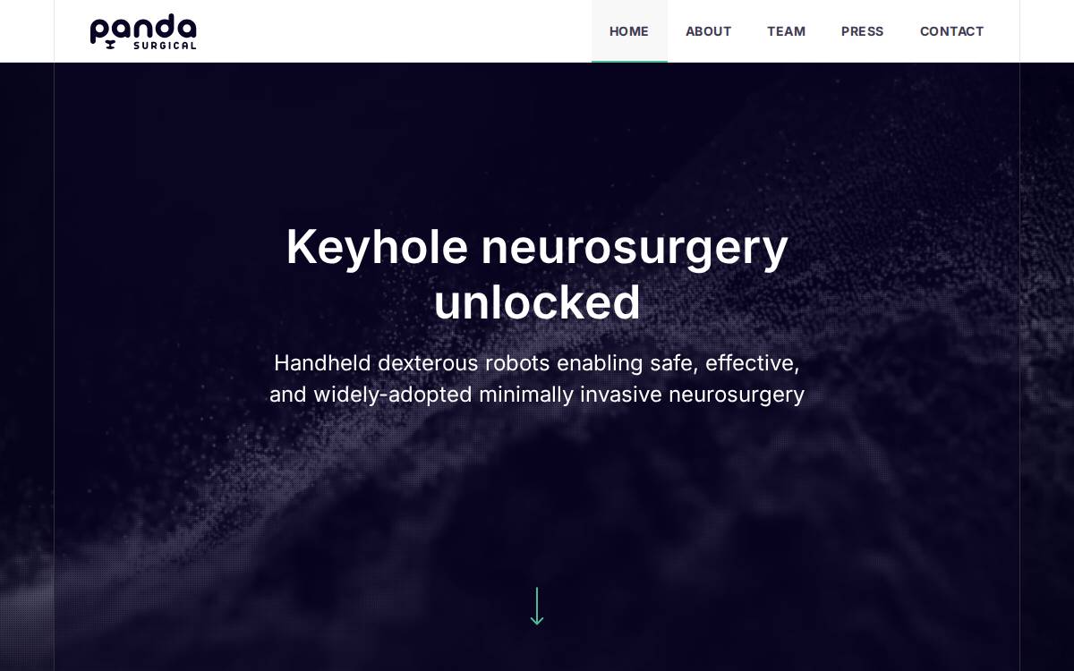 Panda Surgical website preview