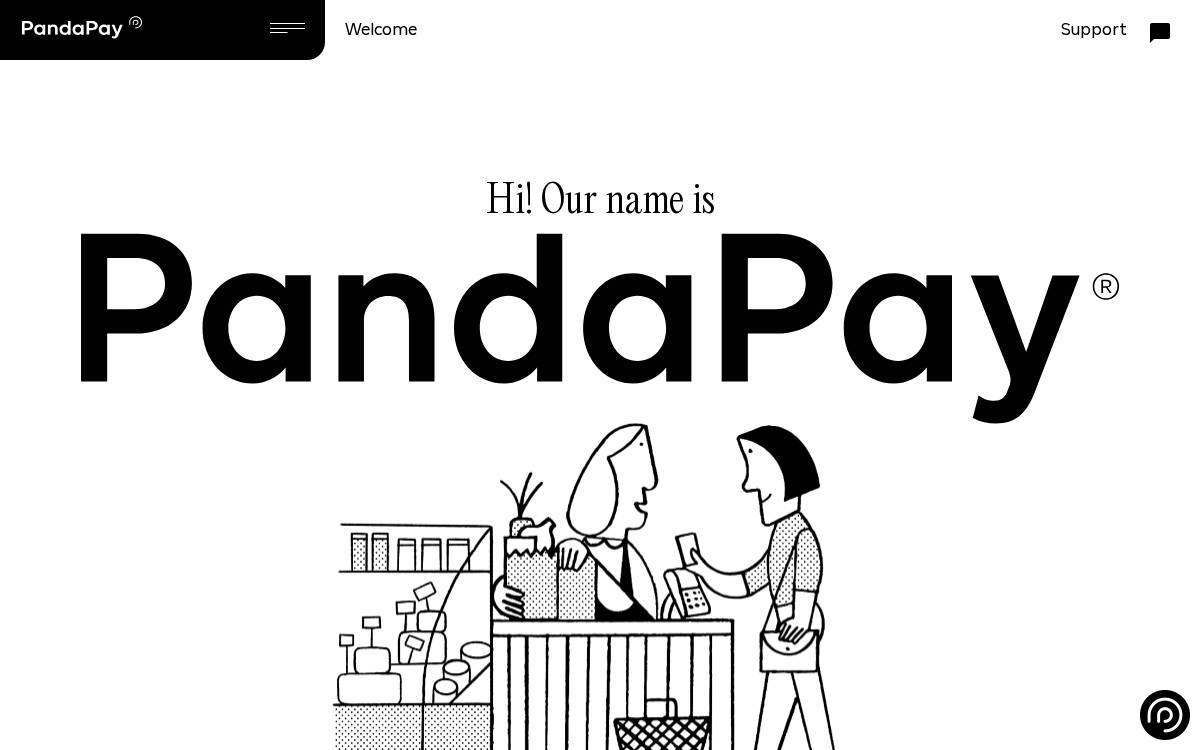 PandaPay website preview