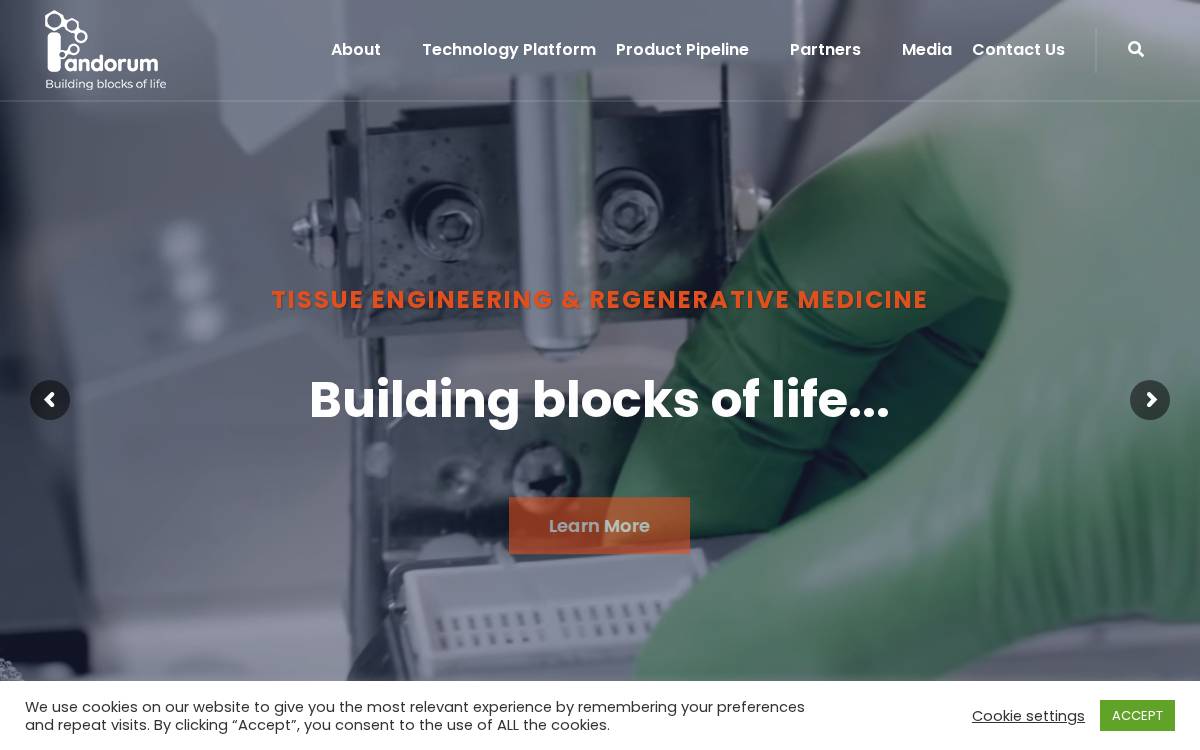 Pandorum Technologies website preview