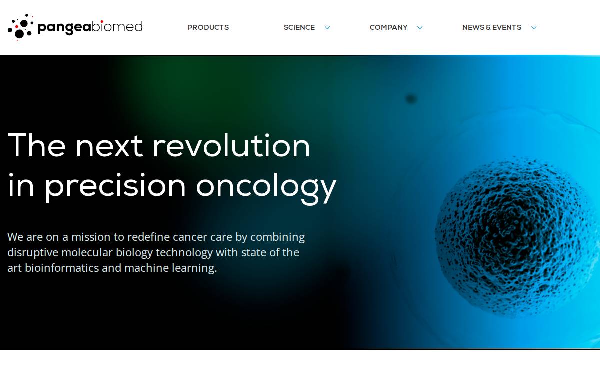 Pangea website preview