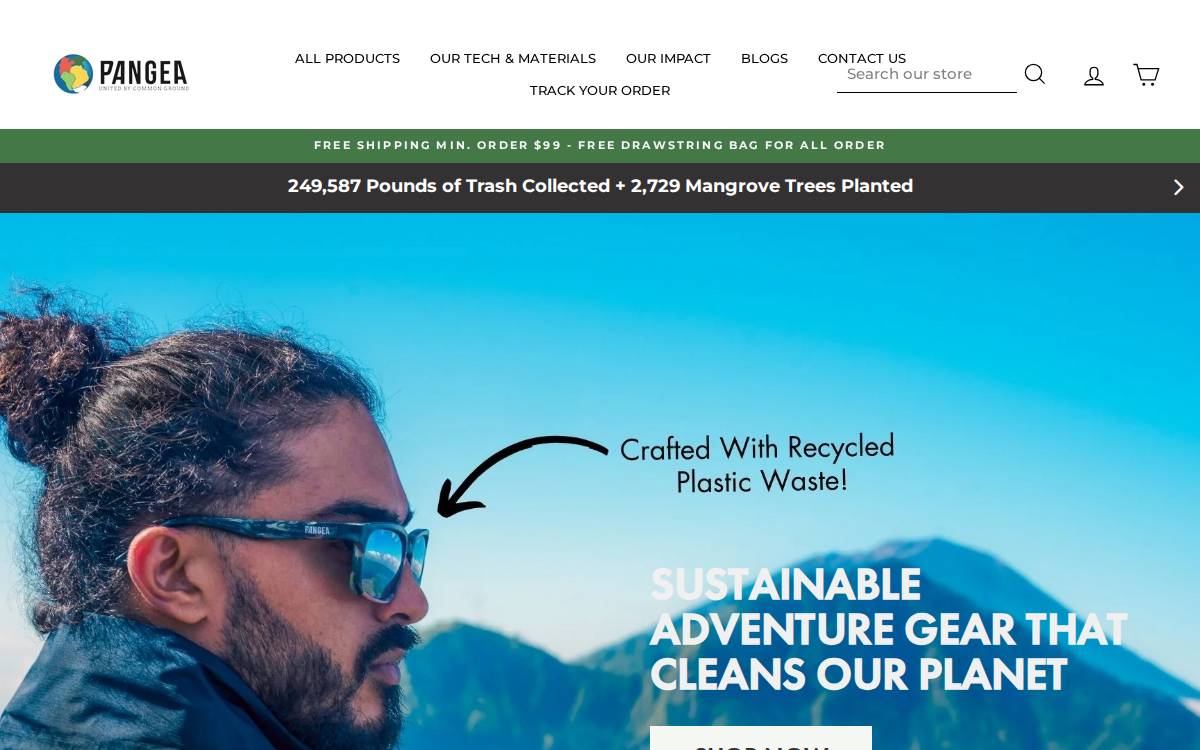 Pangea Movement website preview
