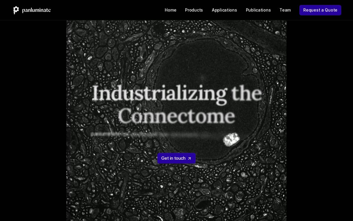 Panluminate website preview