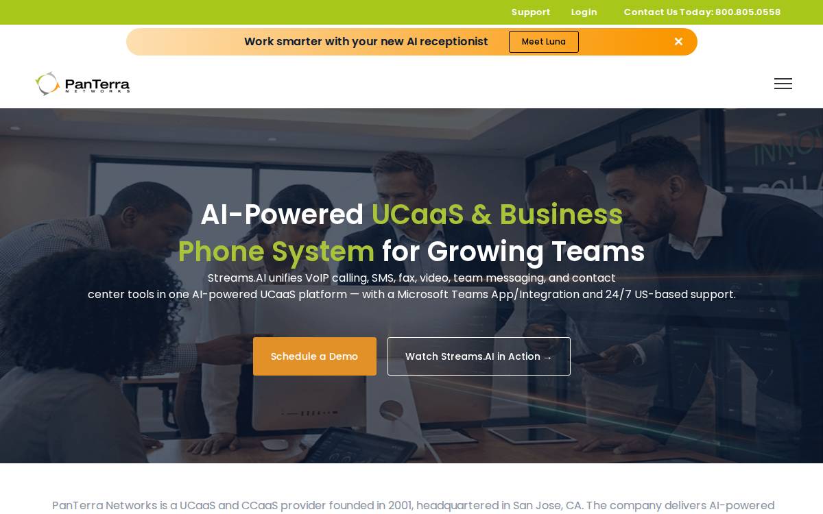 Panterra Networks website preview