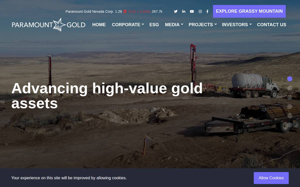 Paramount Gold Nevada website preview