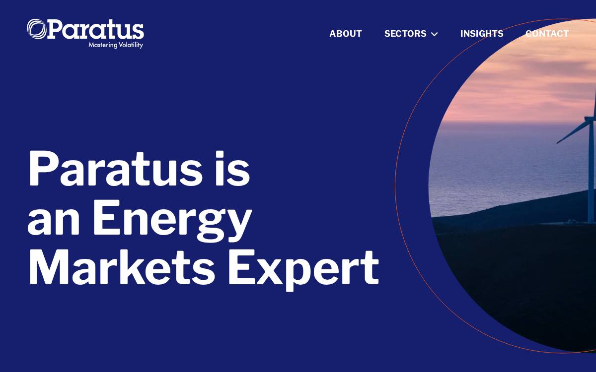 Paratus website preview