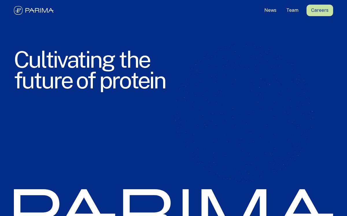 Parima website preview