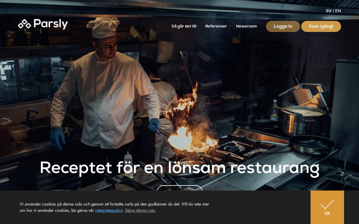 Parsly website preview