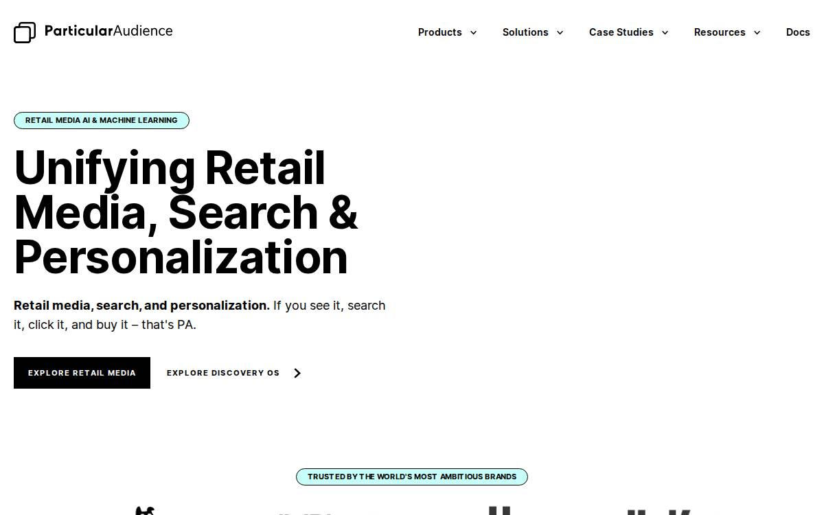 Particular Audience website preview