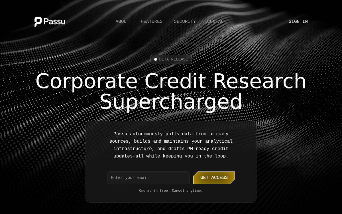 Passu website preview