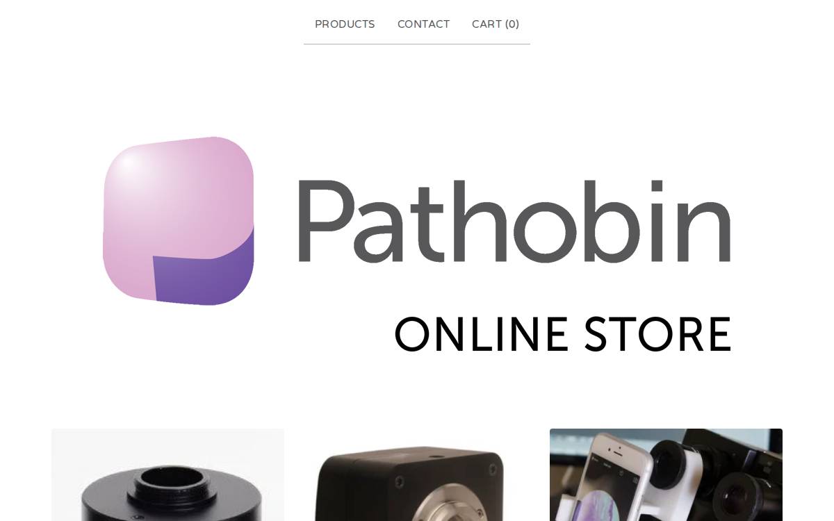 Pathobin website preview