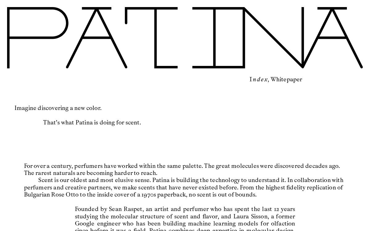 Patina website preview