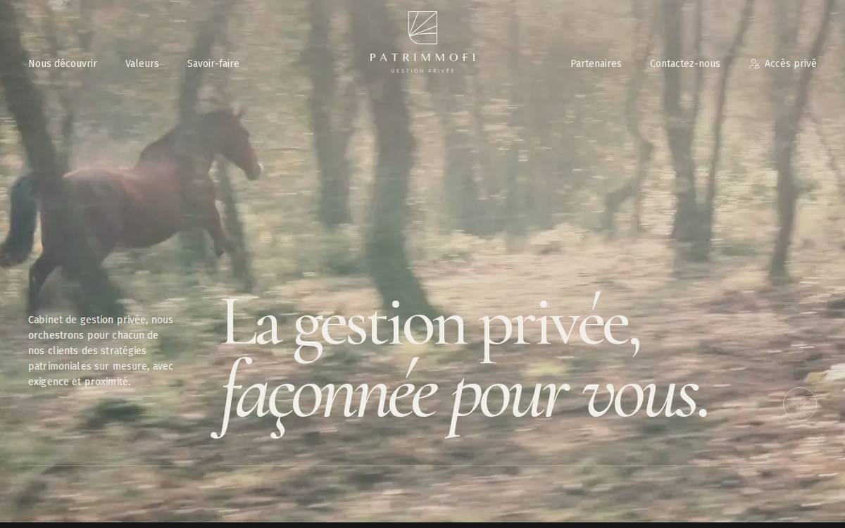Patrimmofi website preview