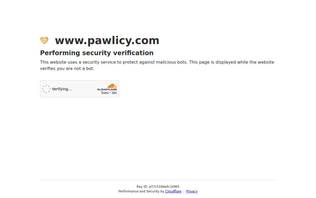 Pawlicy Advisor website preview