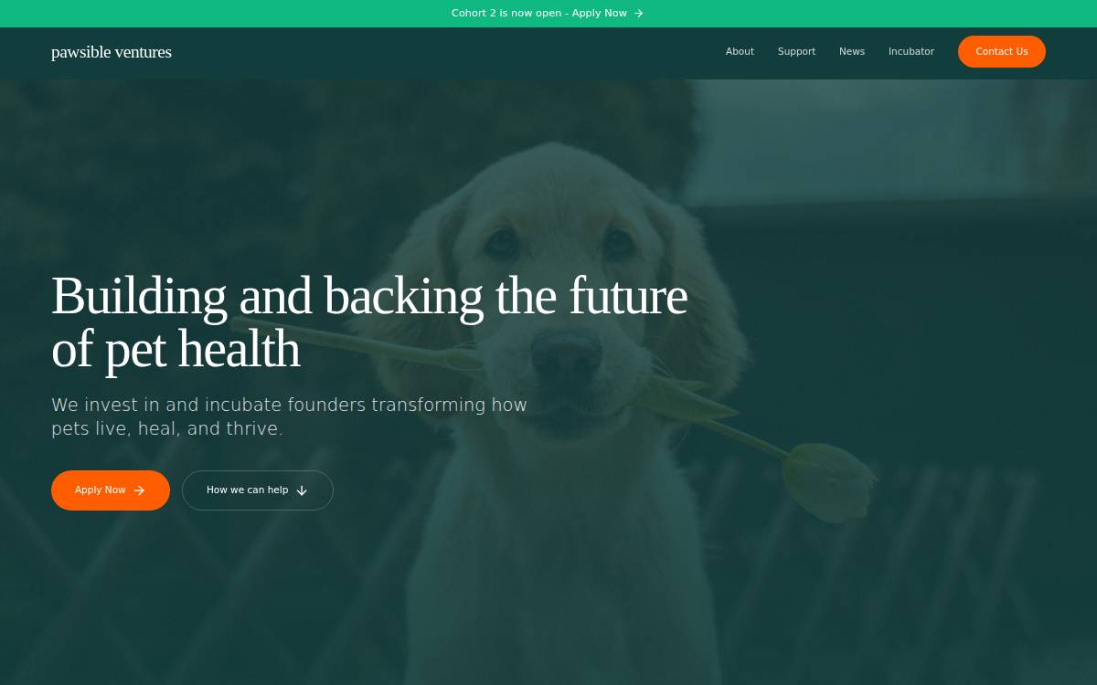Pawsible website preview