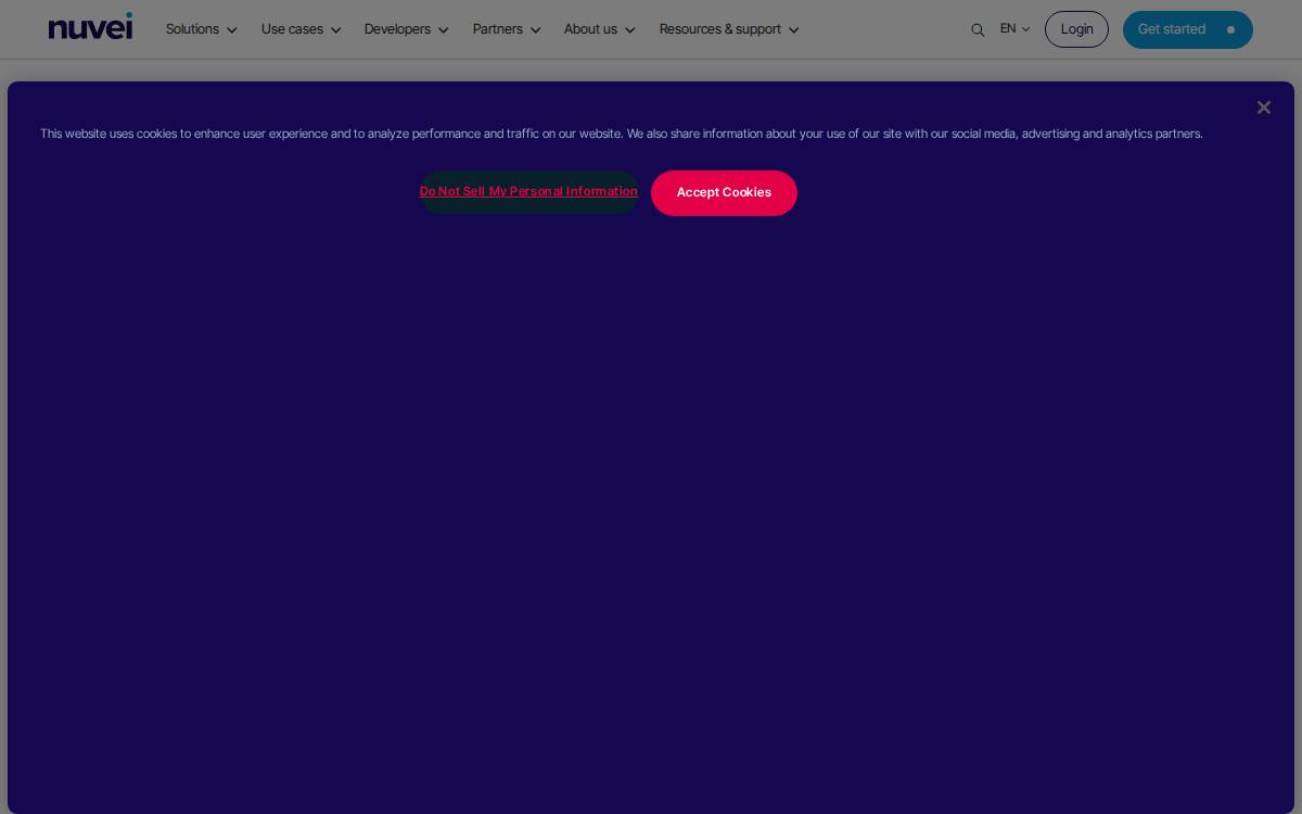 Payaut website preview