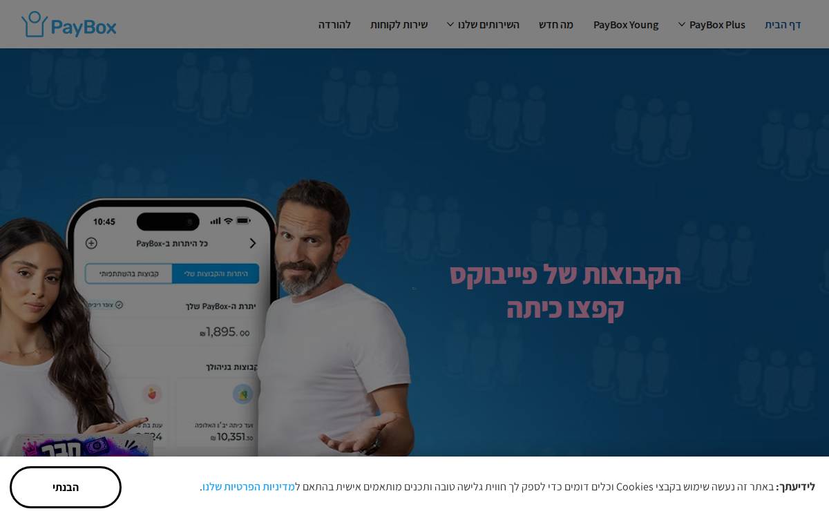 PayBox website preview