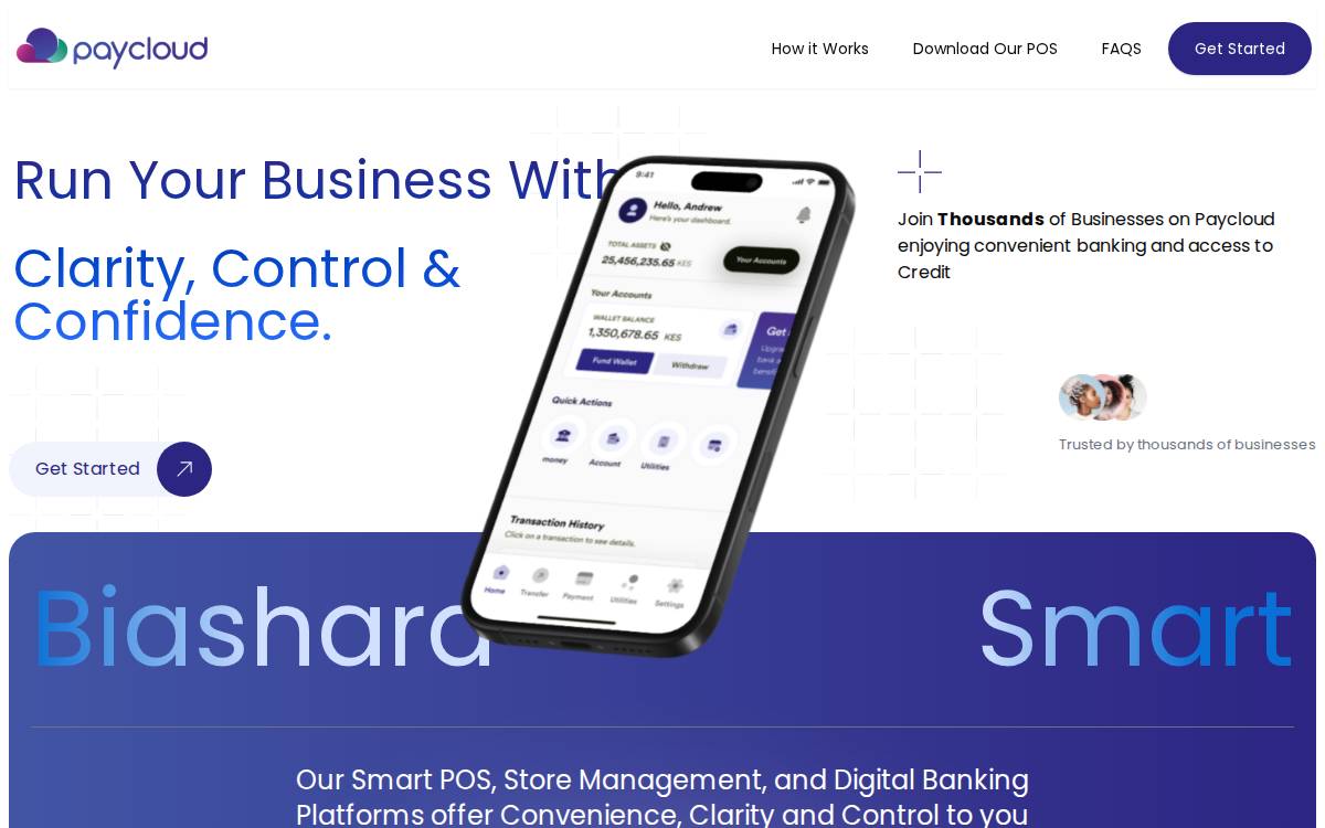 Paycloud website preview