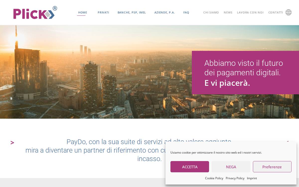 PayDo website preview