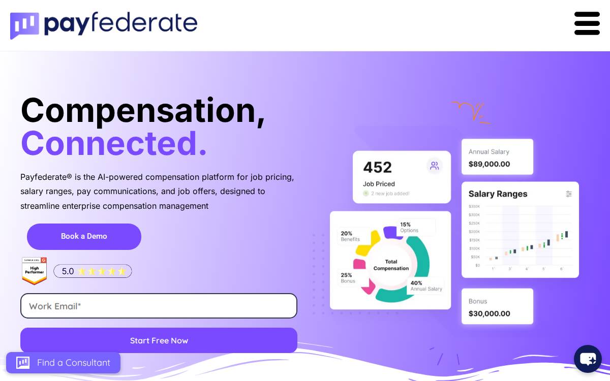 PayFederate website preview