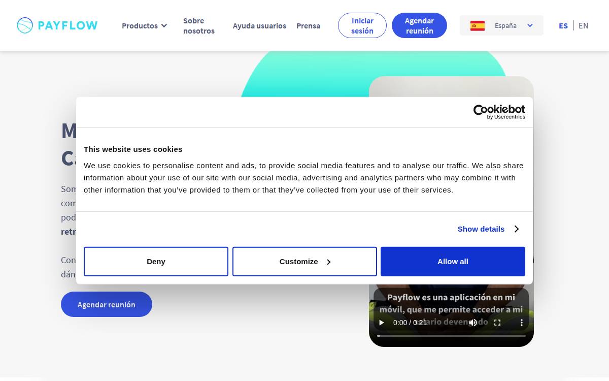 Payflow website preview