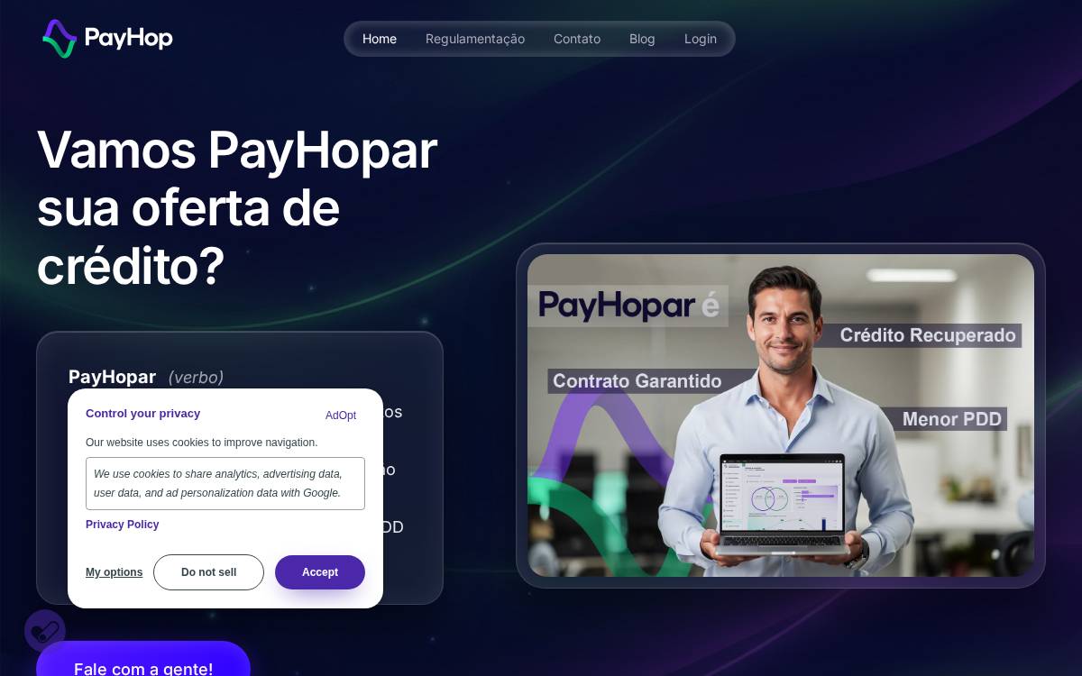 PayHop website preview