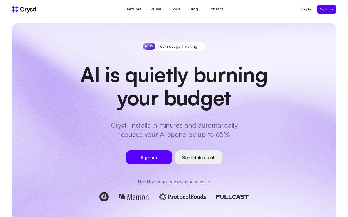 Payloop website preview