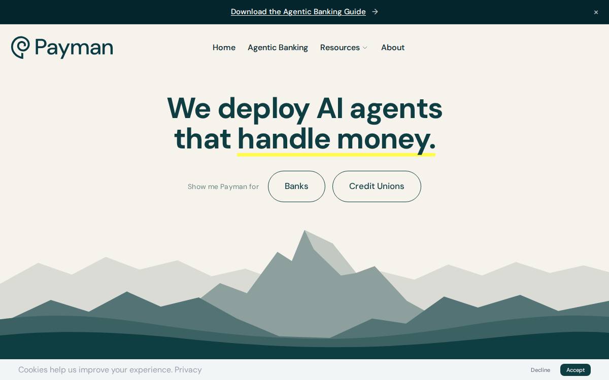 Payman website preview