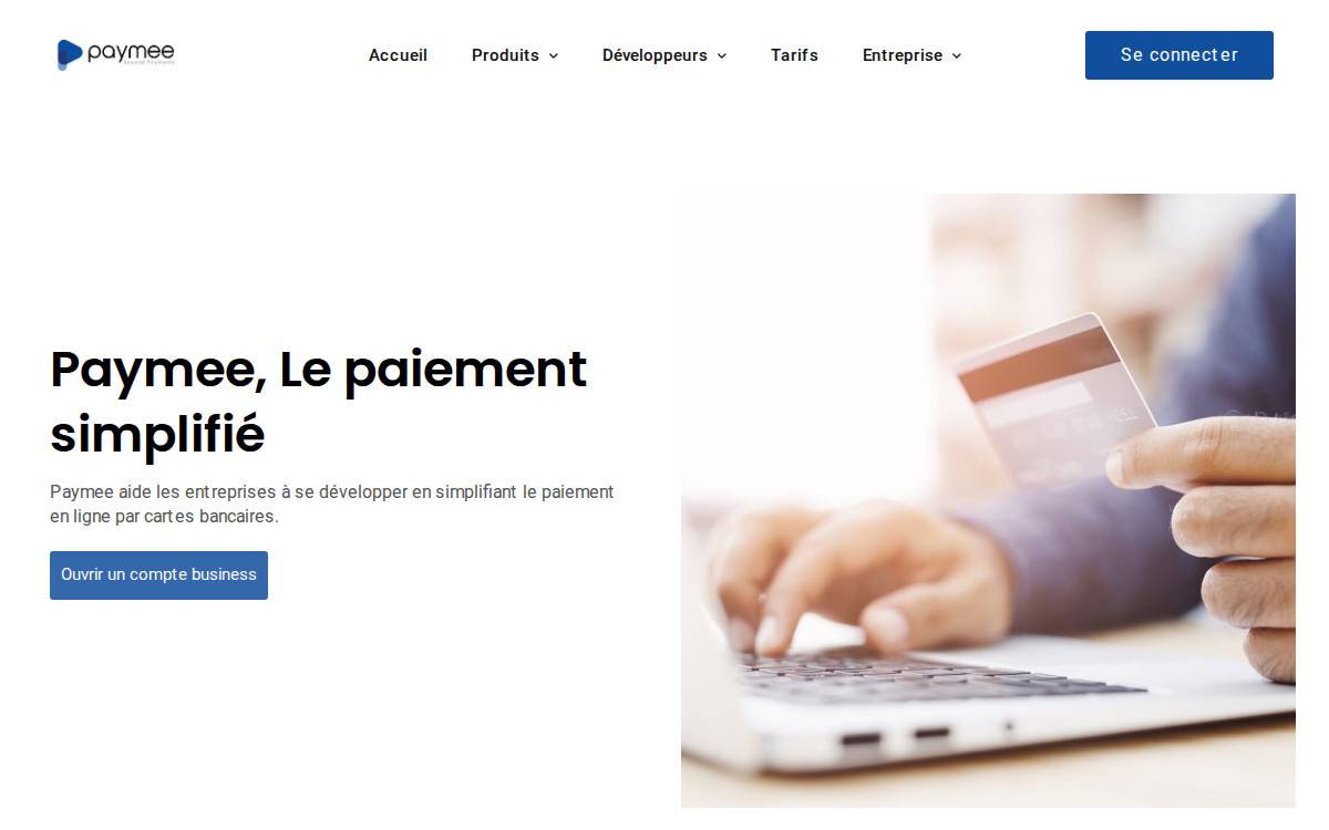 Paymee website preview