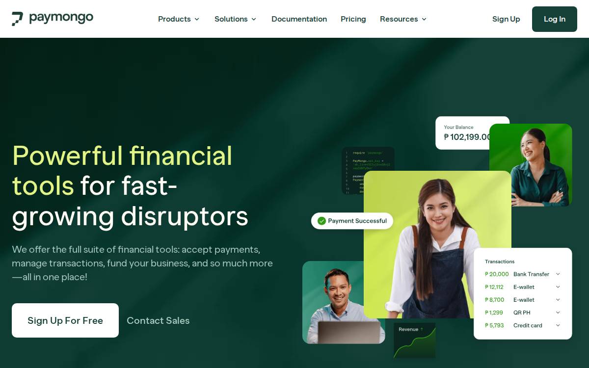 PayMongo website preview