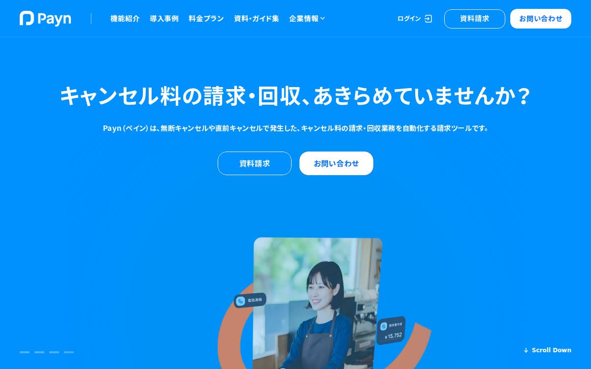 Payn website preview