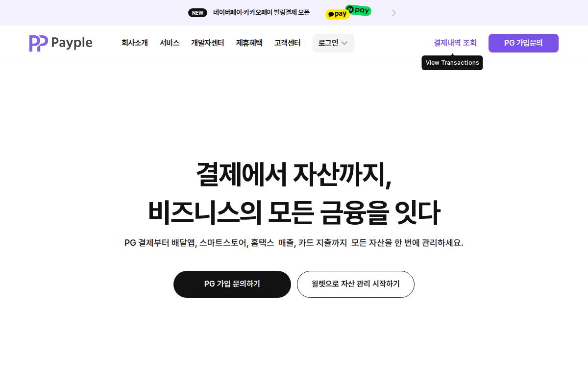 Payple website preview