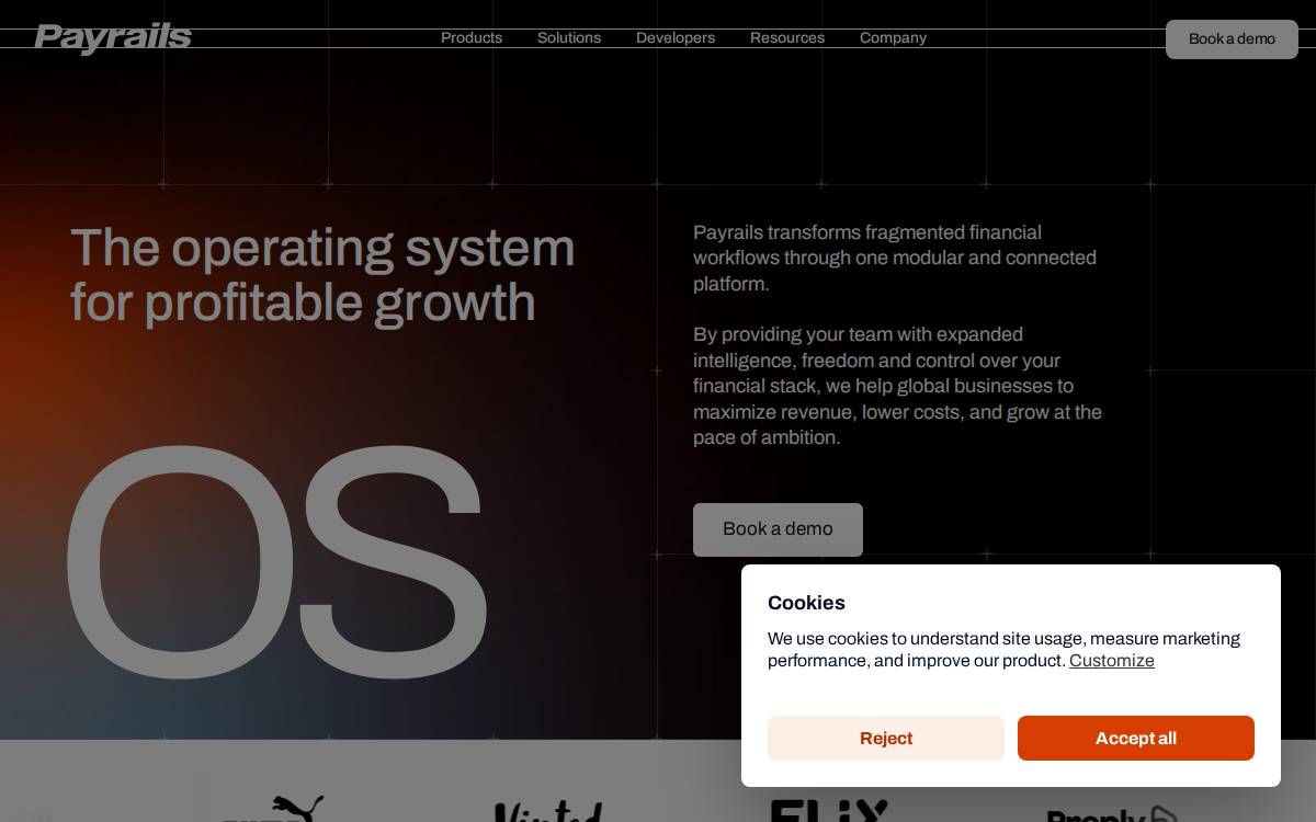 Payrails website preview