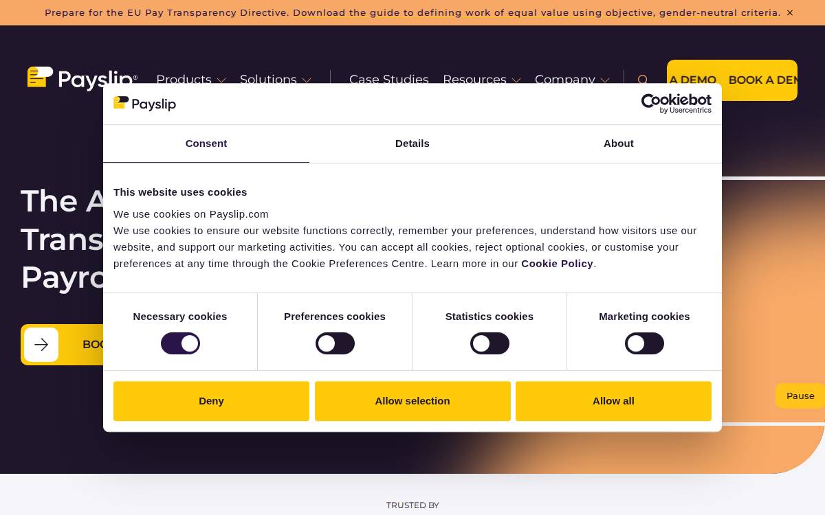 Payslip website preview