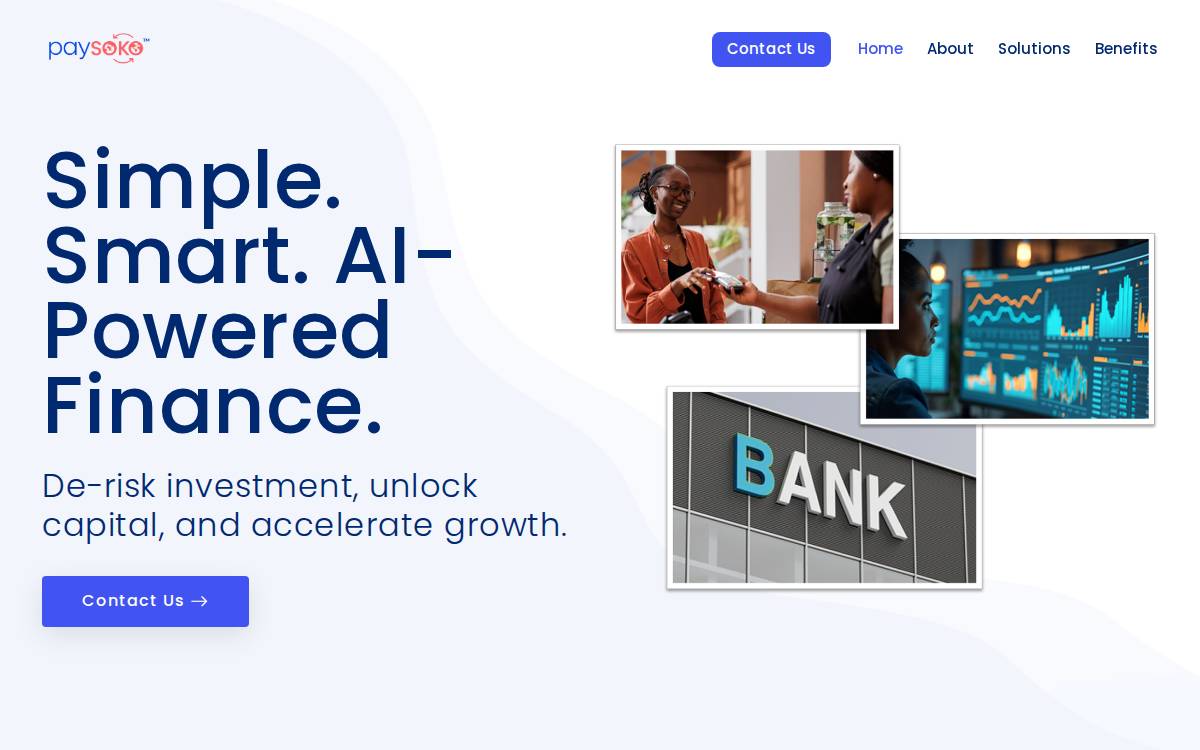 PaySoko Systems website preview