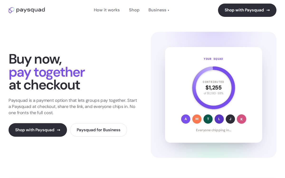 Paysquad website preview