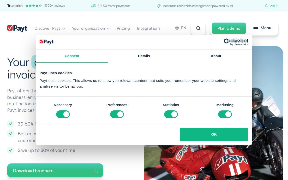 Payt website preview