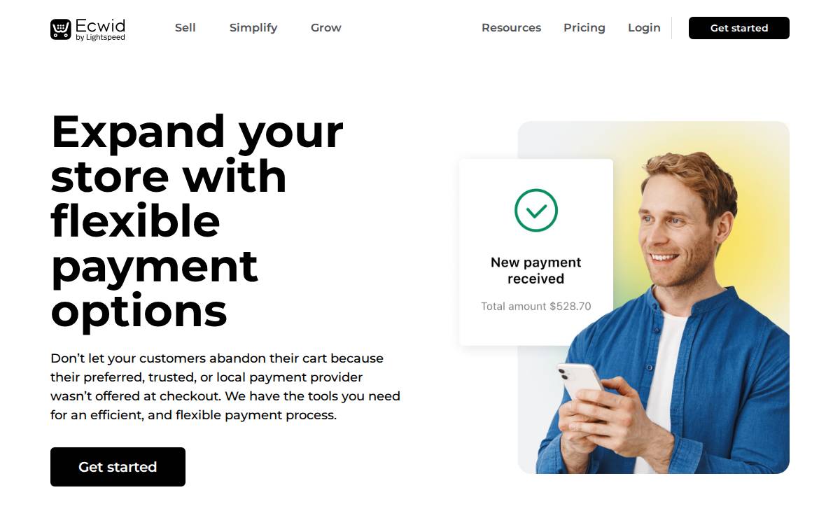 Payvment website preview