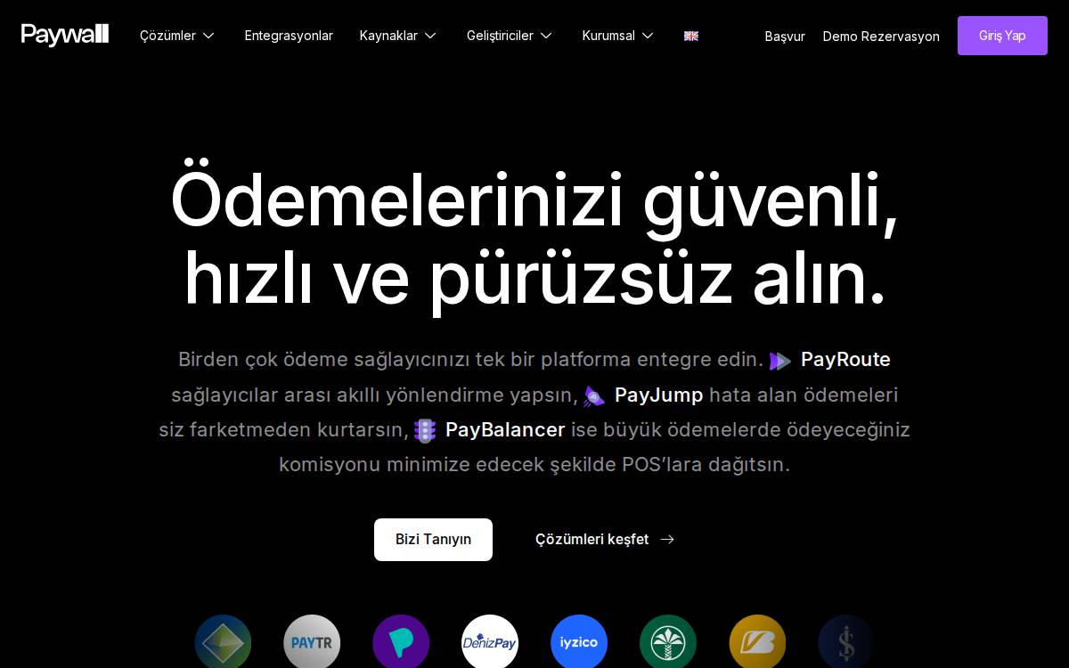 PayWall website preview