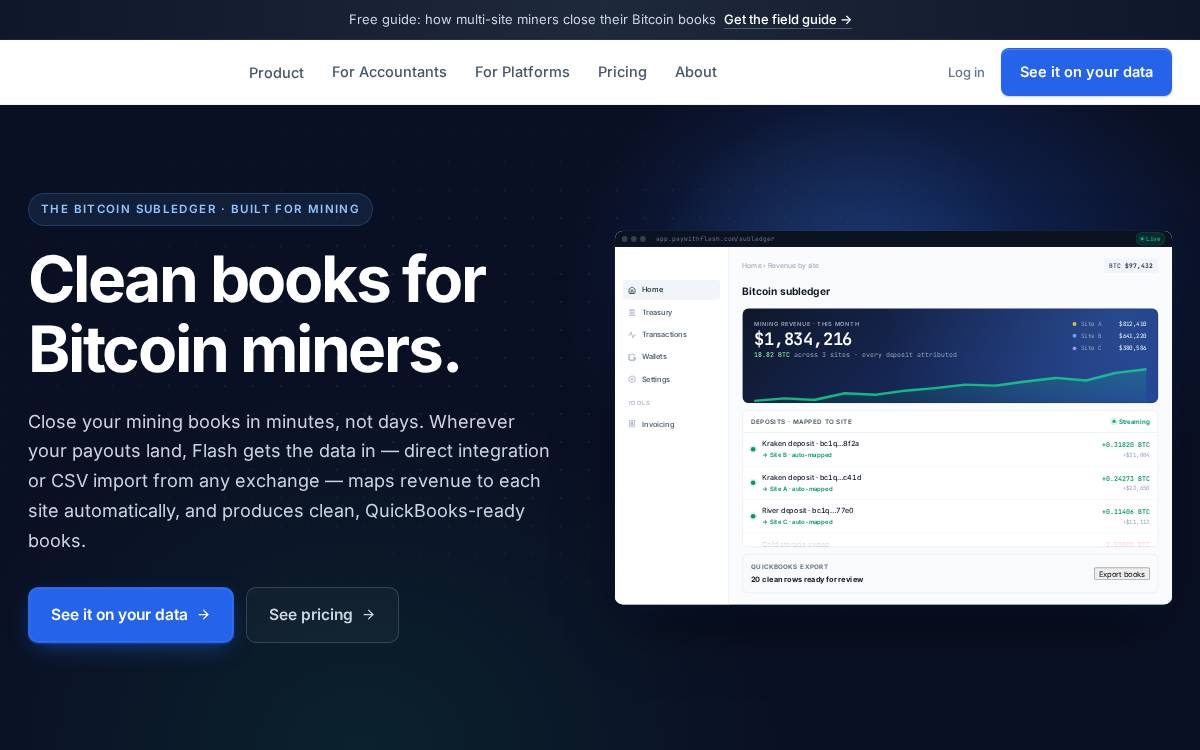 Paywithflash website preview