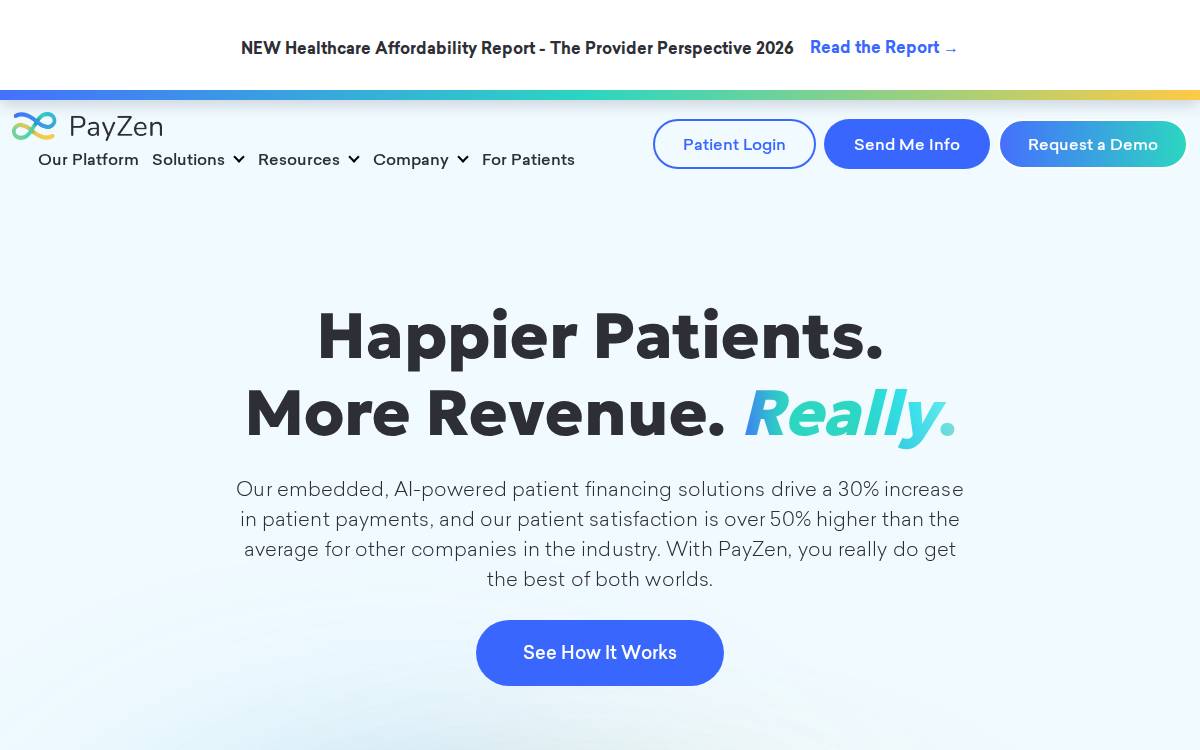 PayZen website preview