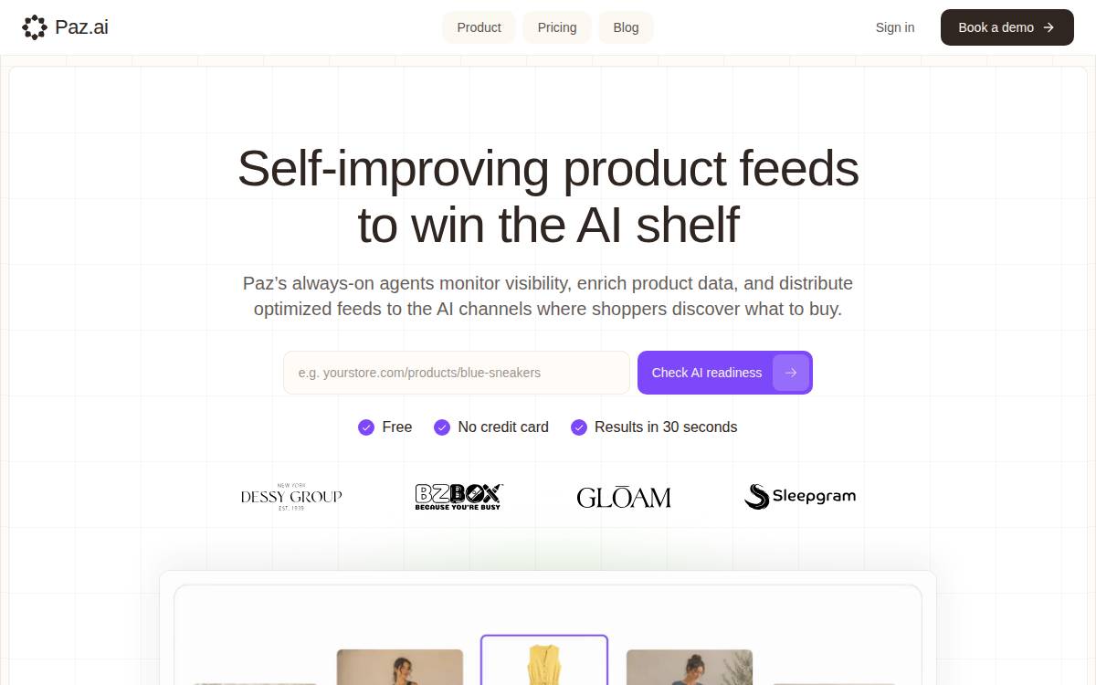 Paz website preview
