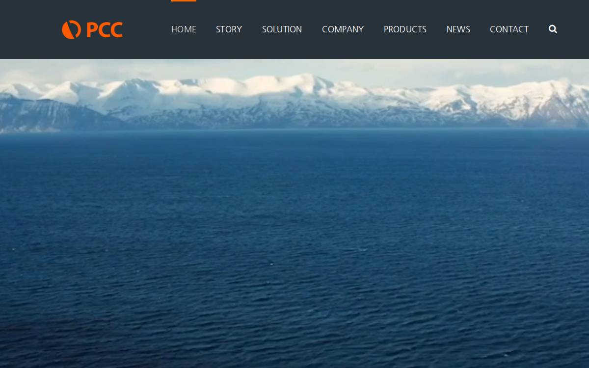 Pcc Thorion website preview