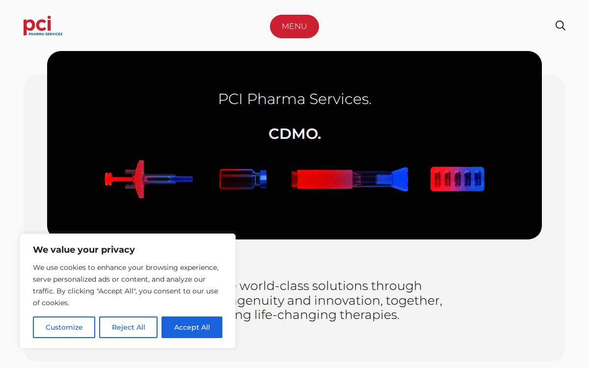 PCI website preview