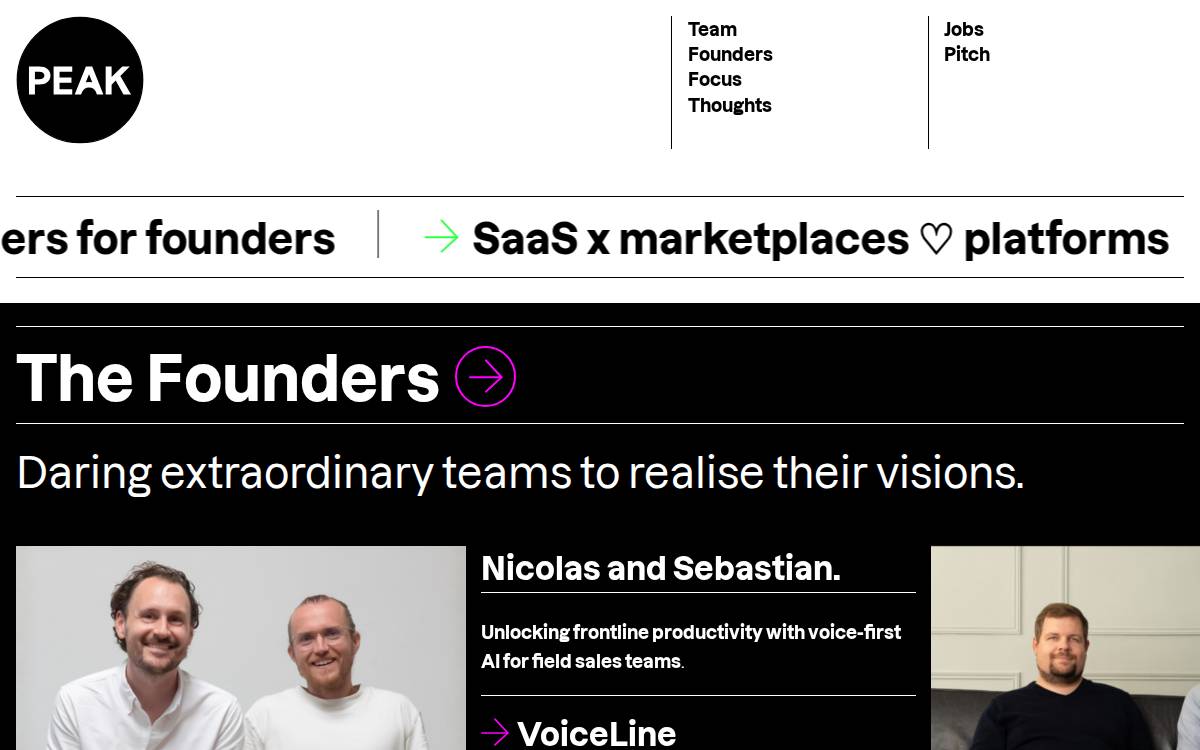Peak website preview