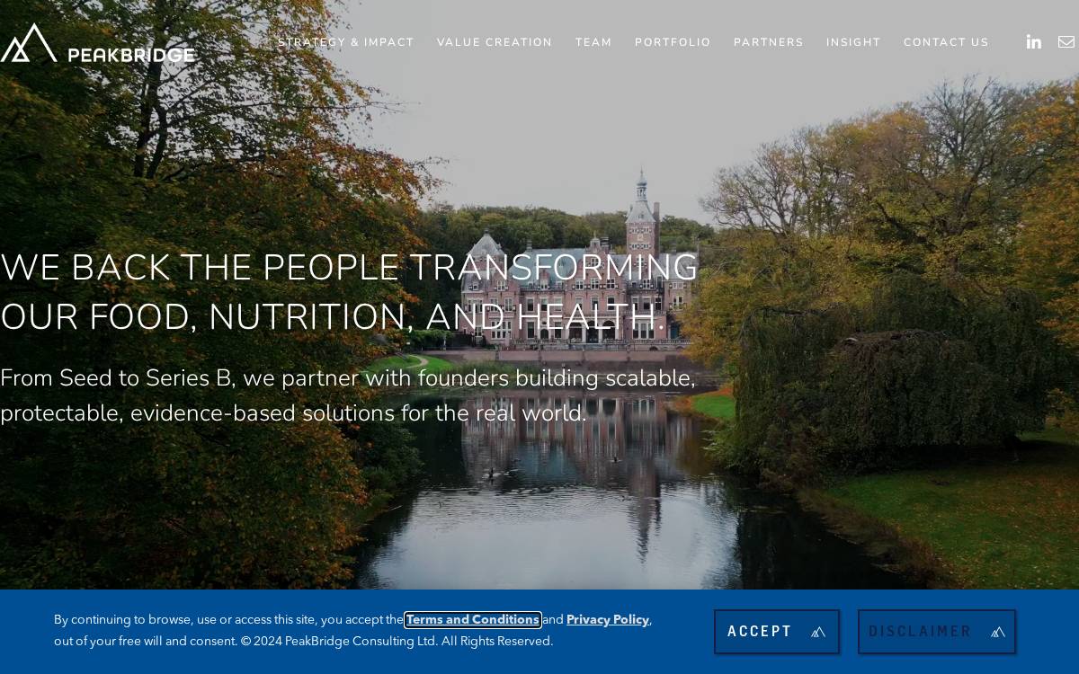 PeakBridge website preview